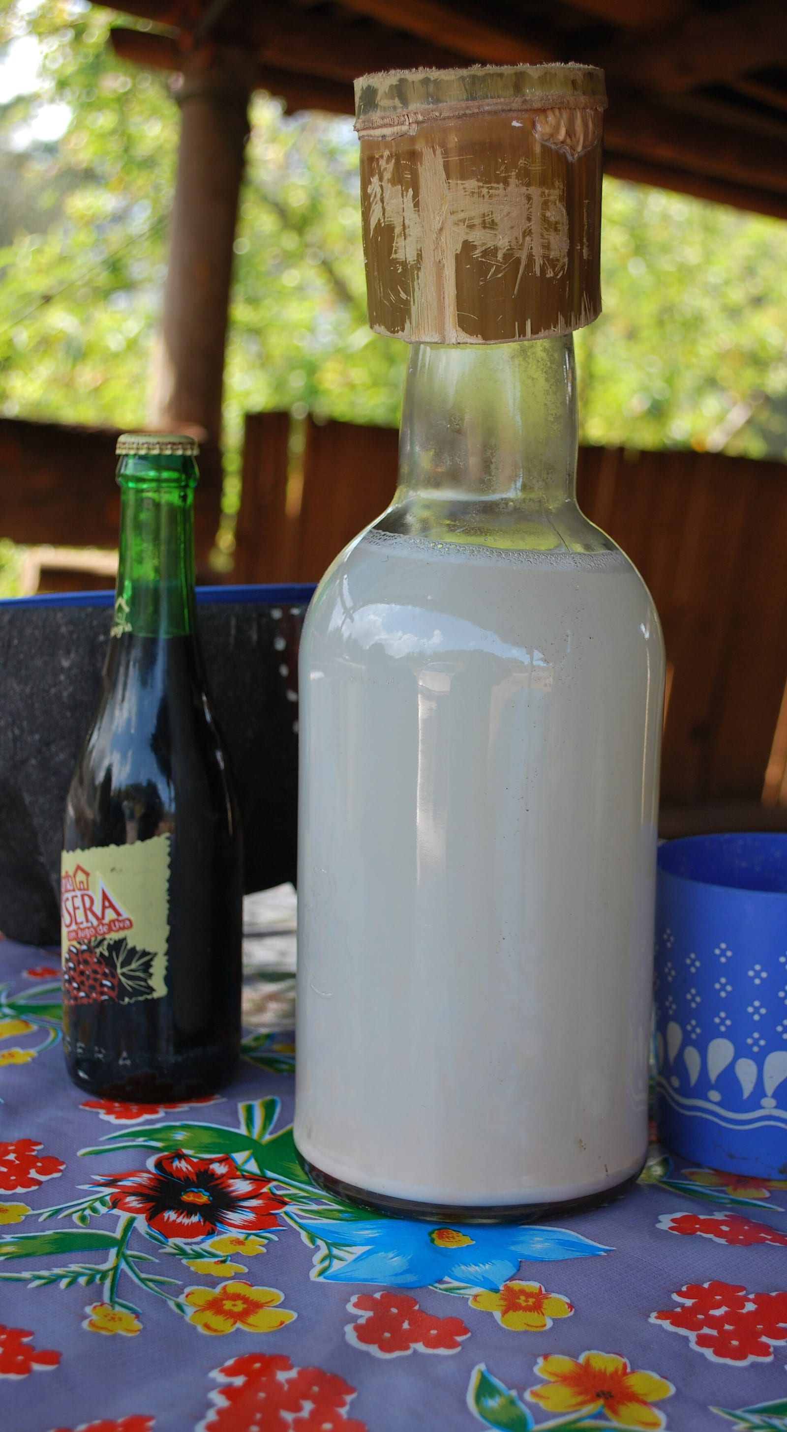 Pulquerías and Cantinas, Mexico City
